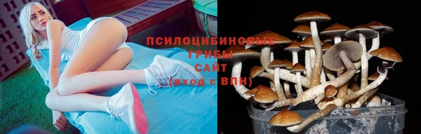 крисы Алексин
